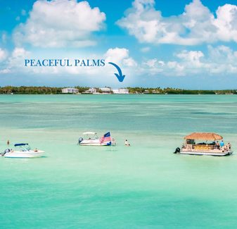 Isla Peaceful Palms - Sandbar — photo 2