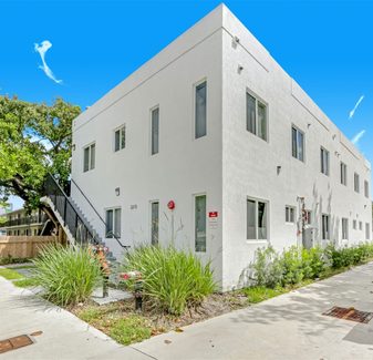 Miami ArTease Collection — photo 5