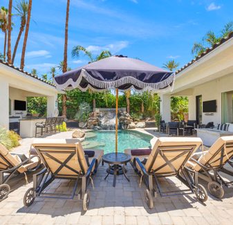 DLE - Velvet Palm — photo 2