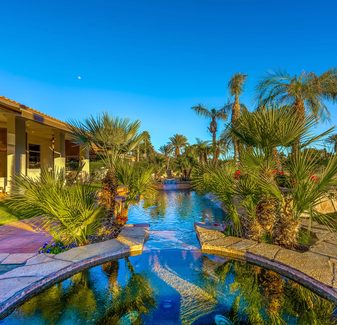 DLE - Spanish Palms — photo 5