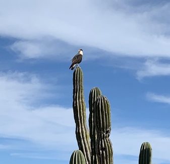 Villa Bahia de los Frailes — photo 2