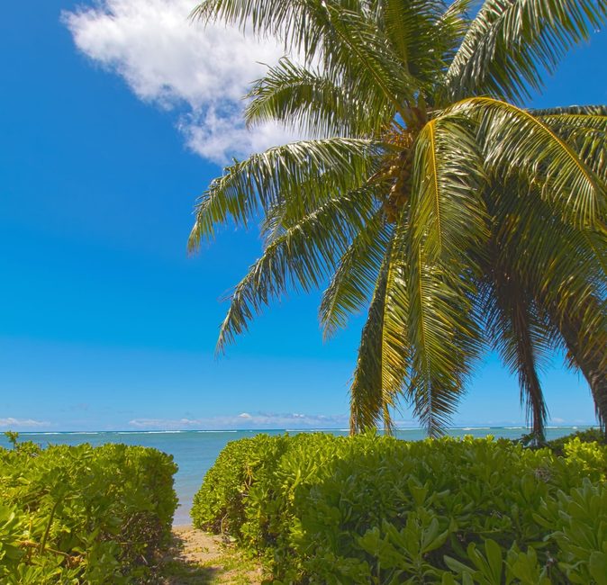 Villa Aloha - Perfect Oceanfront Retreat — photo 1
